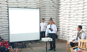 Mentan Amran Sulaiman Pastikan Stok Beras Nasional Tembus 5 Juta Ton Tahun 2026