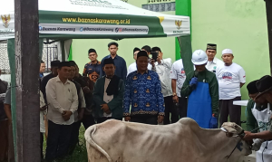 MUI Karawang Gelar Pelatihan Juleha Jelang Iduladha 1447 H