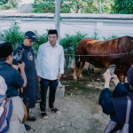 Pemkab Karawang Salurkan Sapi Kurban Presiden 1,2 Ton dan 25 Ekor Sapi ASN Berbagi