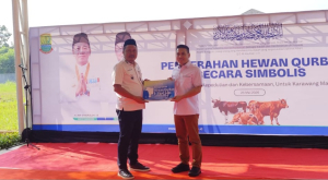 Momen IdulAdha 1447 H , BJB Karawang Serahkan Bantuan 6 Sapi dan 14 Ekor Domba